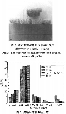 生物質(zhì)燃料 生物質(zhì)燃料